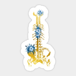 Skeleton Torso Sticker